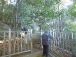 CIMG7004_256.jpg