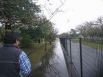 DSC_0006_320.jpg