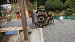 DSC_0008_320.jpg
