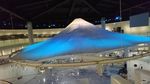 DSC_0016_320.jpg