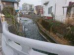 DSC_0046_320.jpg