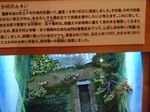 DSC_0048_320.jpg
