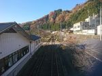 DSC_0080_320.jpg
