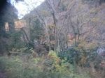 DSC_0084_320.jpg