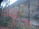 DSC_0085_320.jpg