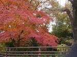 DSC_0104_320.jpg