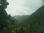 DSC_0108_320.jpg