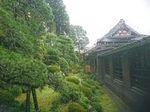 DSC_0118_320.jpg