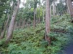 DSC_0122_320.jpg