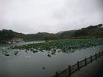 DSC_0125_320.jpg