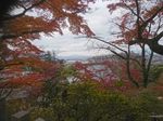 DSC_0140_320.jpg