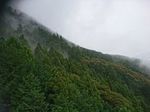 DSC_0145_320.jpg