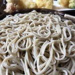 12074077.jpg