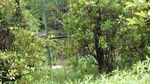20240616_075440_320.jpg