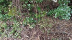 20250309_100824.JPG
