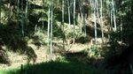 20250310_100307_320.jpg