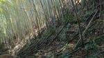 20250310_100502_320.jpg