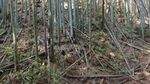 20250310_100507_320.jpg