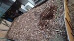 20250310_175436_320.jpg