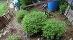 20250512_175729_320.jpg