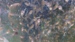 20250530_084932_320.jpg