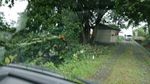 DSC_0007_320.jpg