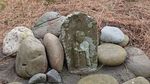 DSC_0008_320.jpg