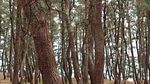 DSC_0009_320.jpg