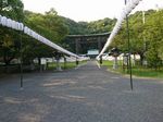 DSC_0011_320.jpg