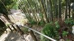 DSC_0038_320.jpg