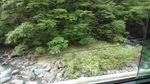 DSC_0041_320.jpg