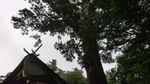 DSC_0050_320.jpg
