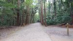 DSC_0068_320.jpg