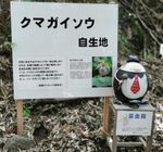 IMG_20230413_112413-580x545.jpg